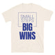 Small Steps, Big Wins T-Shirt